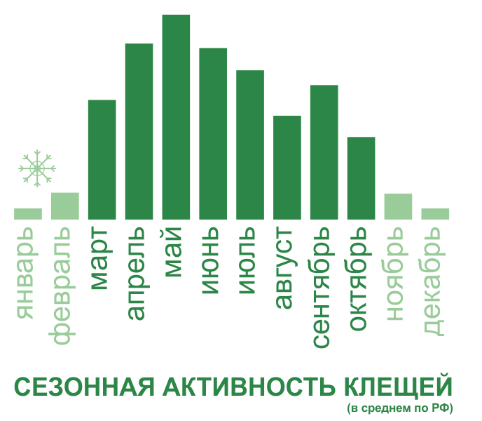 Дезинфекция от клещей на участке. Цены на дезинфекцию